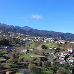 Al - Perola Dourada *